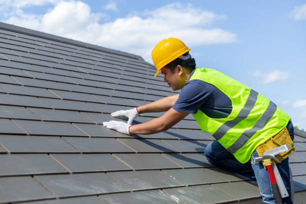 Best Local Roofing Companies  in Williamsport, OH