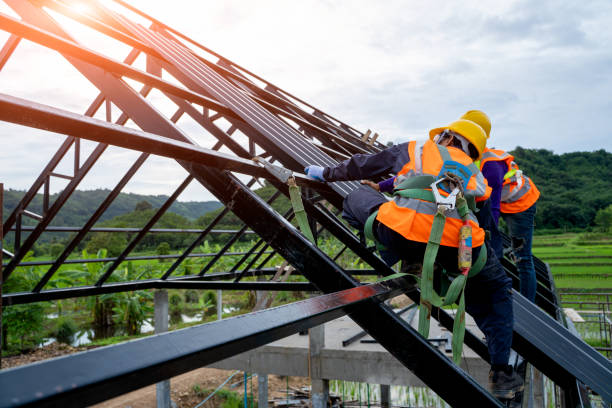 Best Flat Roof Repair Services  in Williamsport, OH