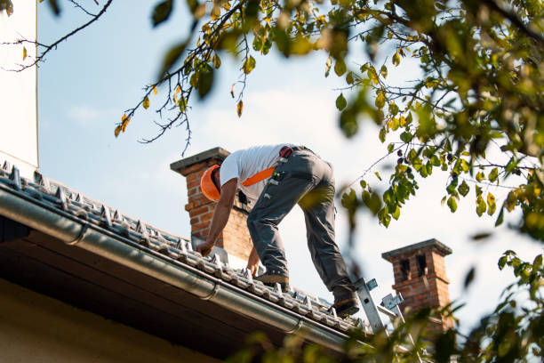 Best Best Roofing Contractors  in Williamsport, OH