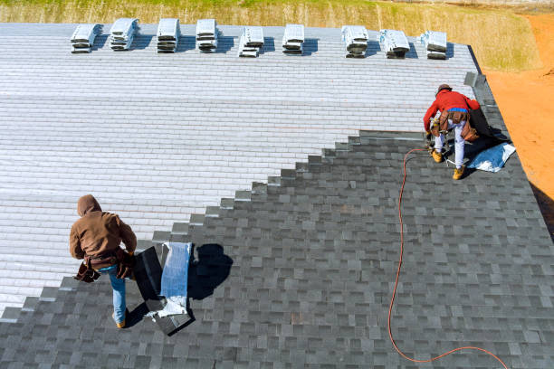 Best Roof Restoration Services  in Williamsport, OH