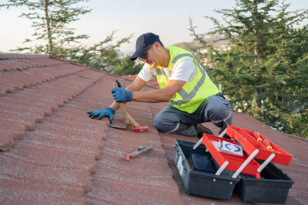 Best Storm Damage Roof Repair  in Williamsport, OH