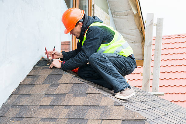 Best Roof Gutter Cleaning  in Williamsport, OH