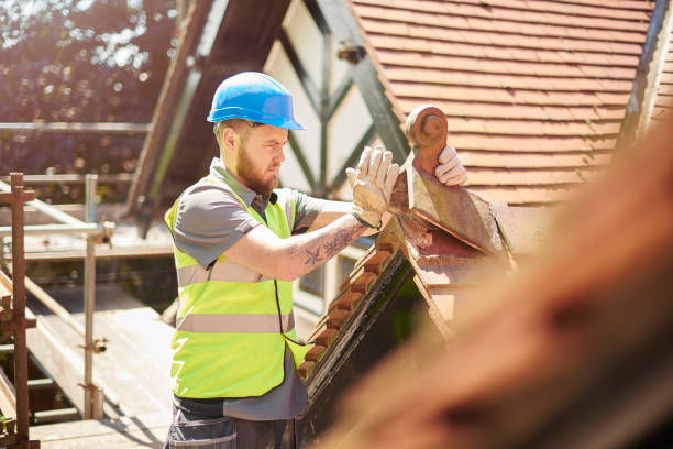 Best Roof Waterproofing Services  in Williamsport, OH