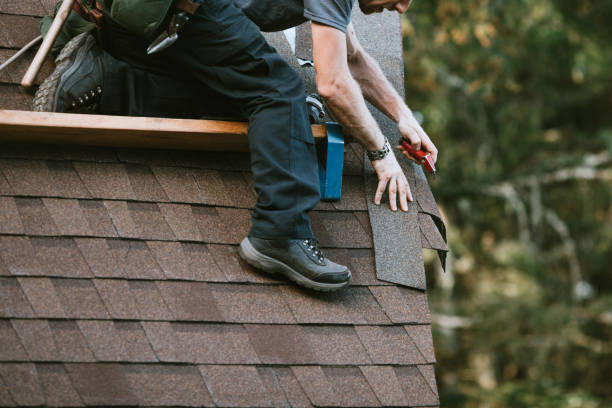 Best New Roof Installation  in Williamsport, OH